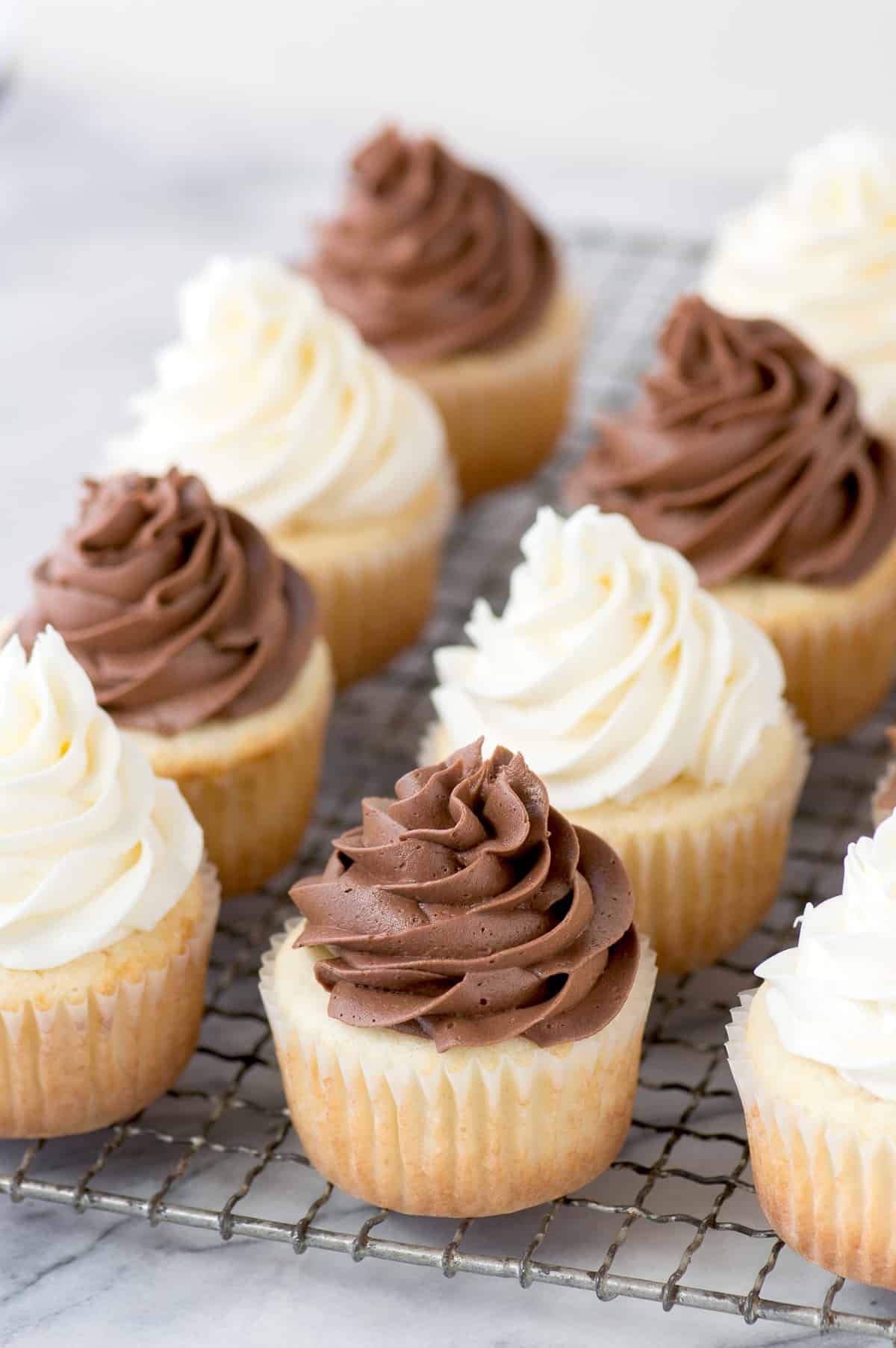 Cupcake (Vanilla or Chocolate)